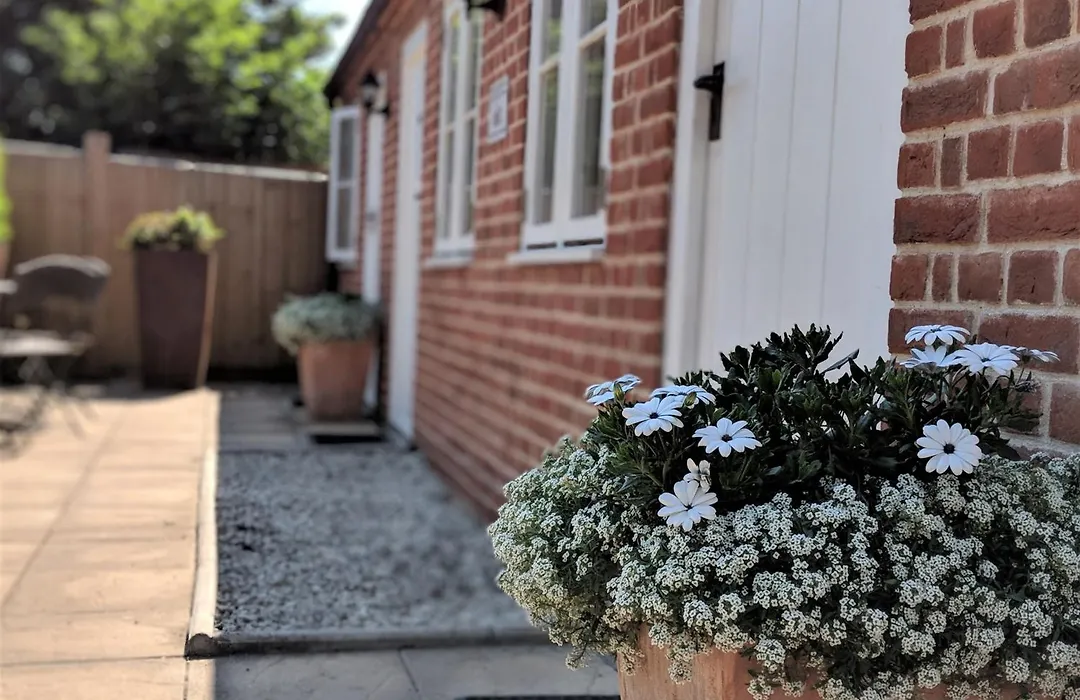 House Of Agnes-1